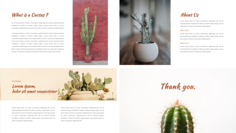 Cactus PPT Template