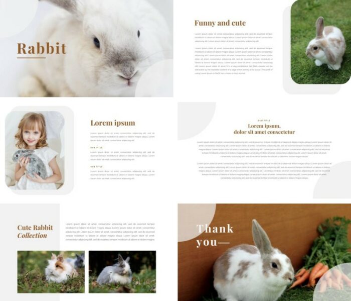 √ Rabbit Powerpoint Templates (Simple, Cute & Free)